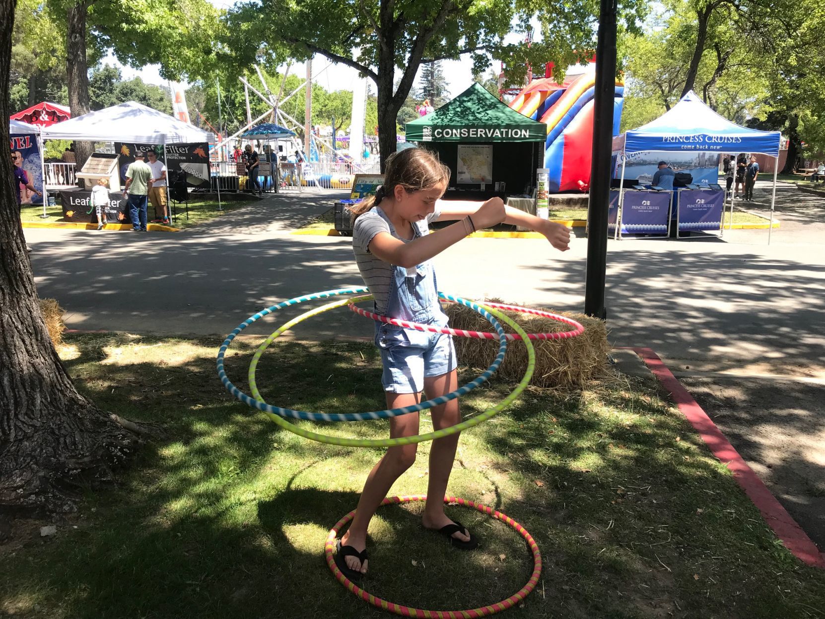 Napa Town & Country Fair 2019